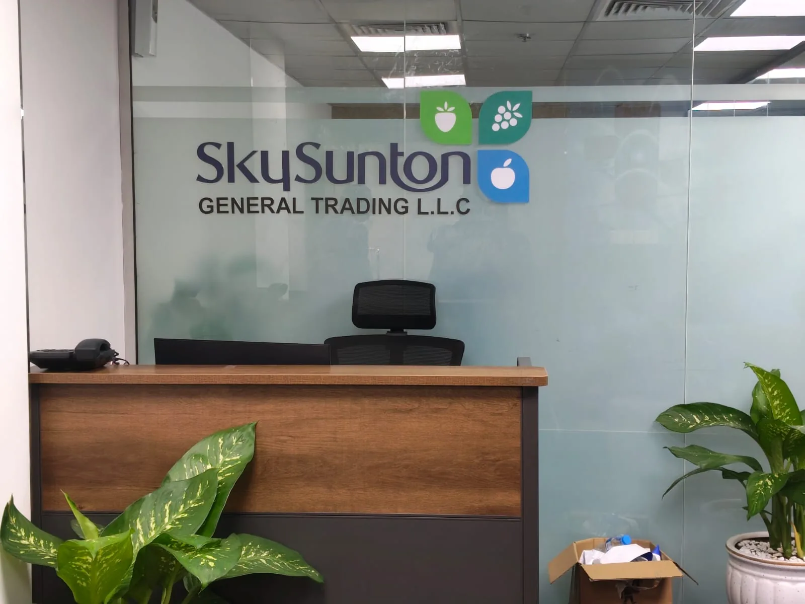 Our Office